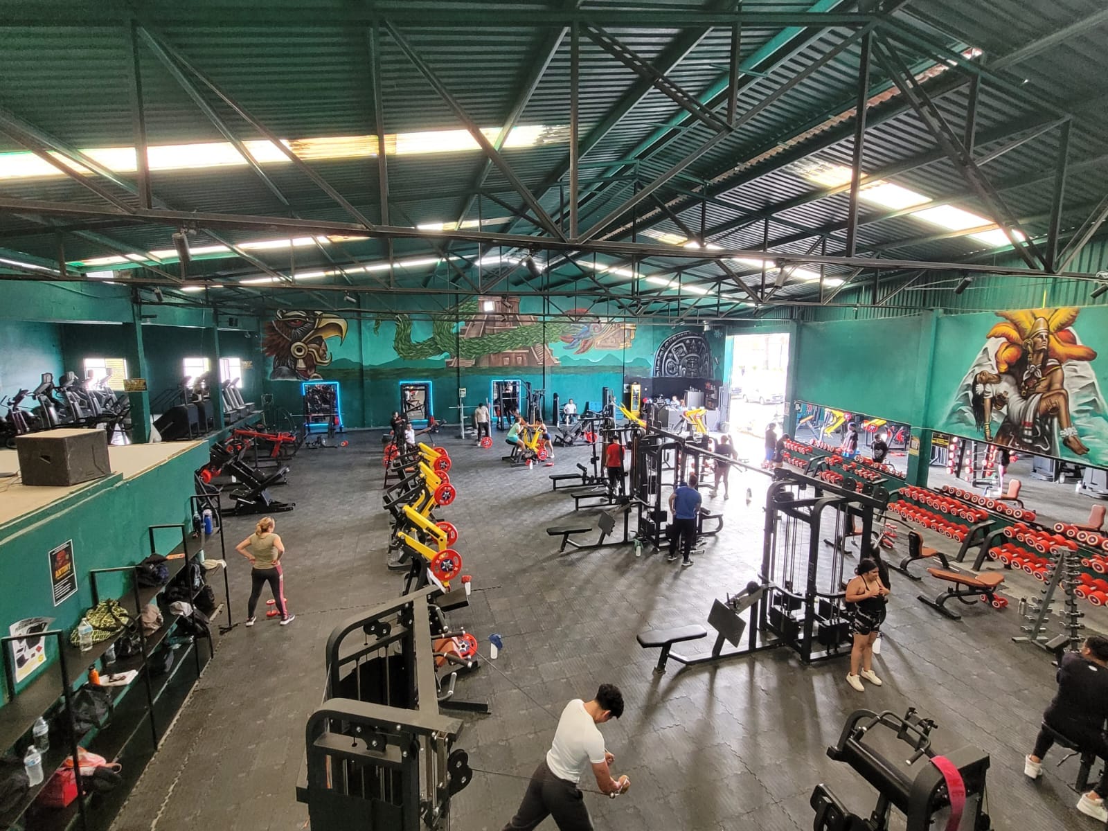 Imagen Live Fit