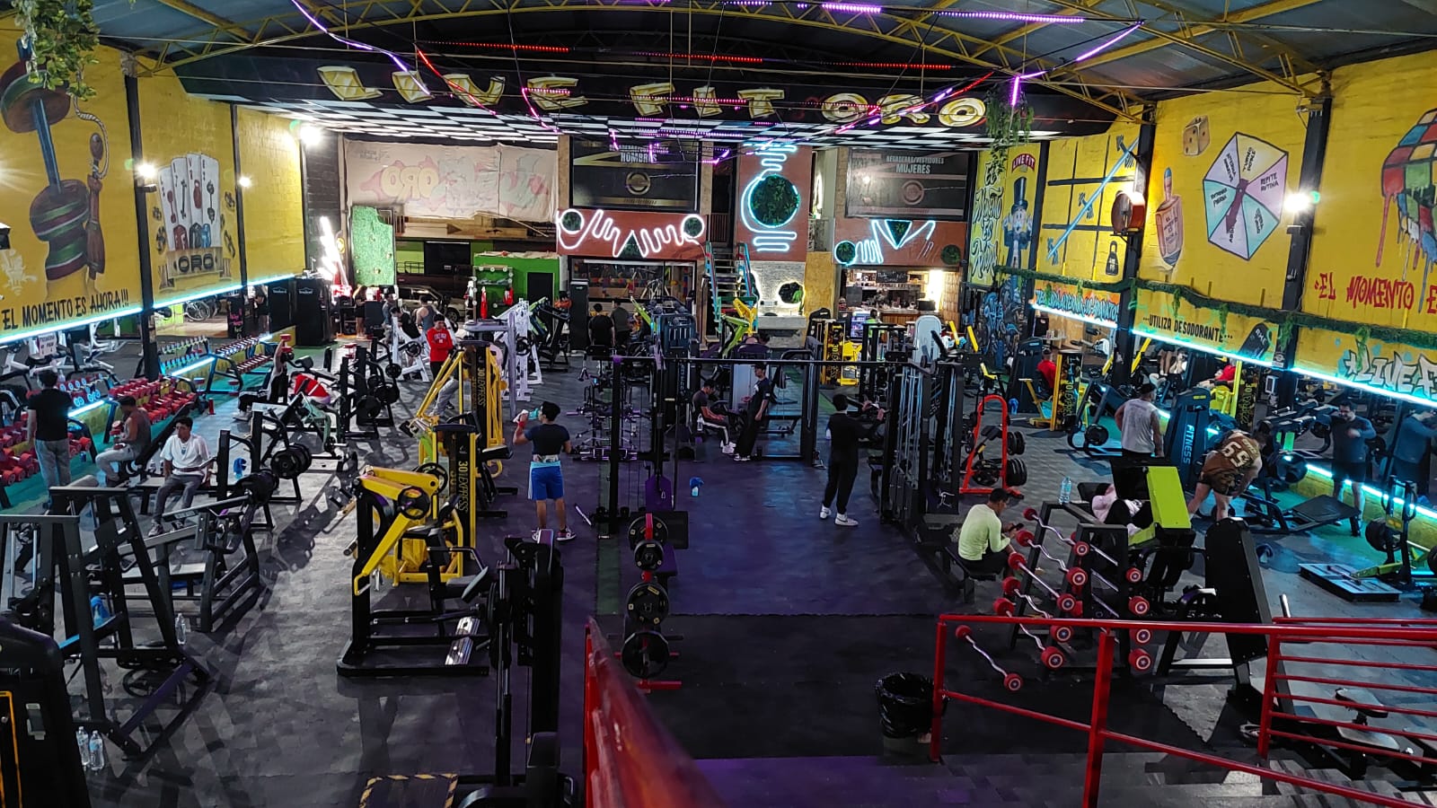 Imagen Live Fit
