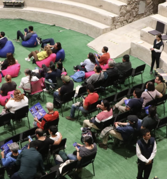 Programación de películas de la Muestra Internacional de Cine en Plaza de Gallos.