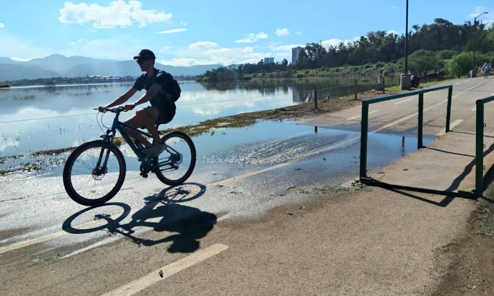 Actividades recreativas para niños en el Parque Metropolitano de León
