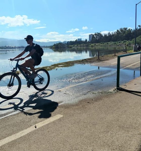 Actividades recreativas para niños en el Parque Metropolitano de León